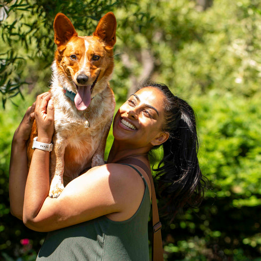 6 Human Wellness Trends Becoming Pawpular with Pets