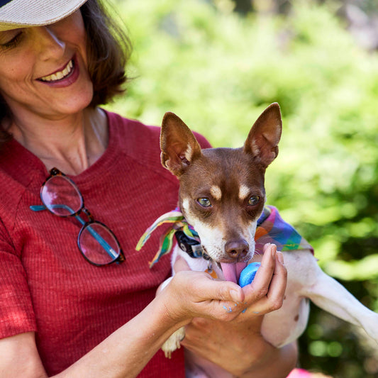 Health Benefits of Fermented Foods for Dogs: Goat's Milk Kefir