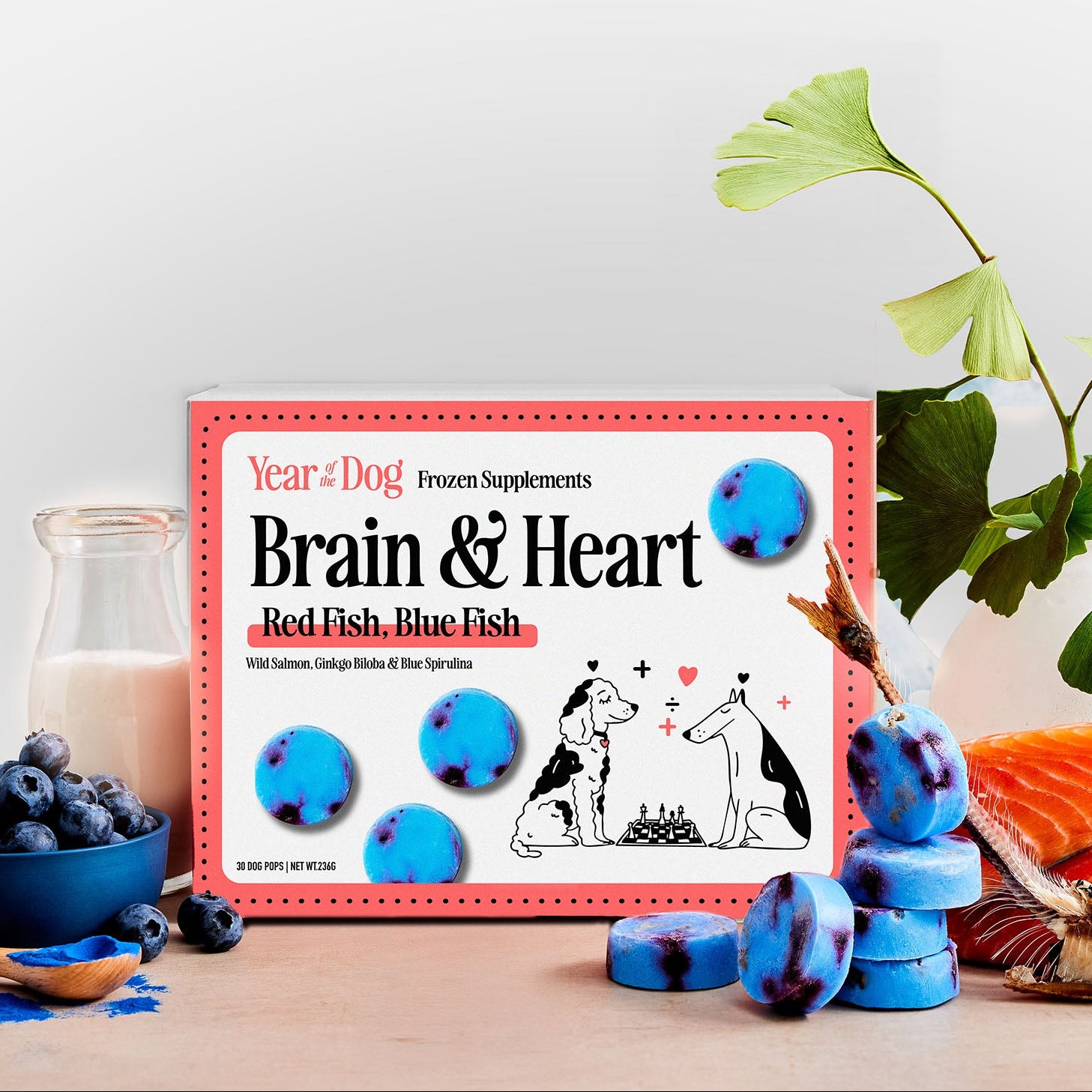 Brain & Heart